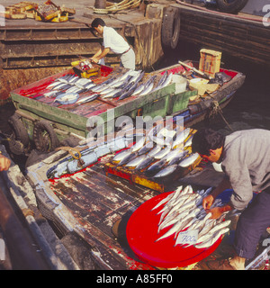 Fish market scene with two men preparing to sell their catch from decks of wooden boats on The Bosphorus Istanbul Turkey Stock Photo