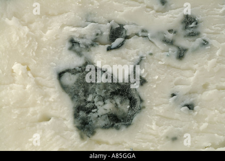 Bleu Auvergne Cheese, Close Up Stock Photo