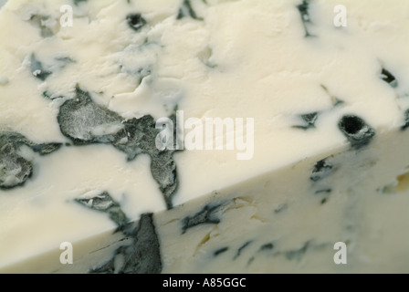 Fromage Bleu French Blue Auvergne Cheese, Close Up. Stock Photo
