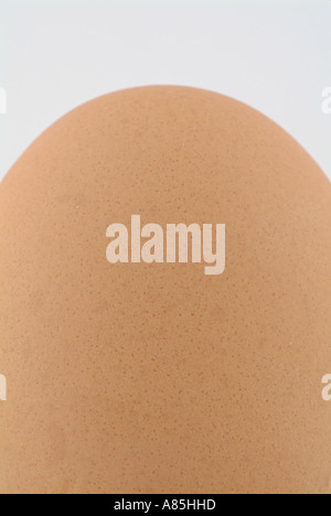 Egg Stock Photo