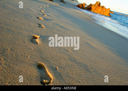 Footprints in sand Cabo San Lucas Mexico Stock Photo