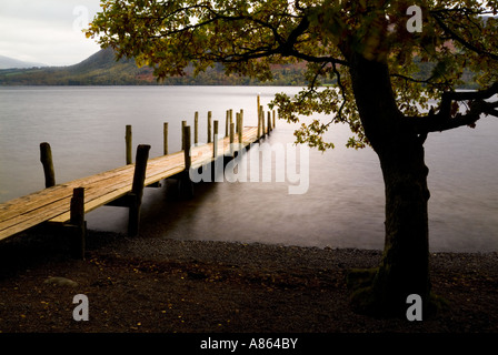 A bold graphic moody image of a shimmering english lakeside jetty framed by a dark tree shot in autumn in english lake district Stock Photo