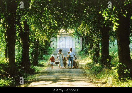 Family of five with dog on tree lined country road in Sweden Stock Photo