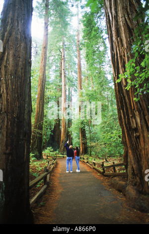 Couple in Muir Woods among Giant Sequoia trees in Marin County, California Stock Photo