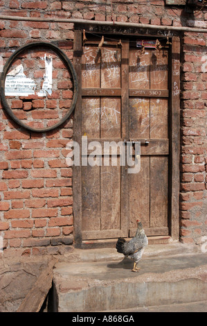 MPD77542 Closed woodden door on brick wall with cycle tyre and hen in Roha small town in Raigad district of Maharashtra India Stock Photo