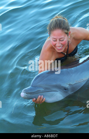 A woman gets to touch a dolphin in a captive environment at the Dolphin Research Center at Grassy Key Stock Photo