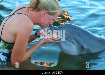 A woman gets to touch a dolphin in a captive environment at the Dolphin Research Center at Grassy Key Stock Photo