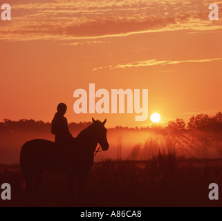 Woman Riding her Horse at Sunset Stock Photo - Alamy