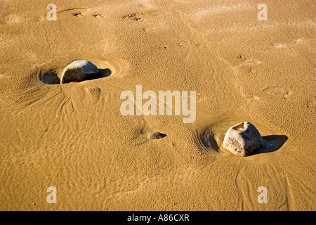 rocks in the sand on Broadhaven beach Wales Stock Photo