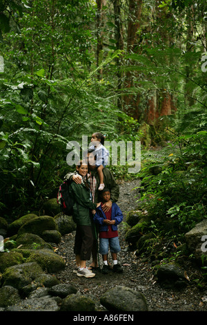 Family walking in forest Stock Photo