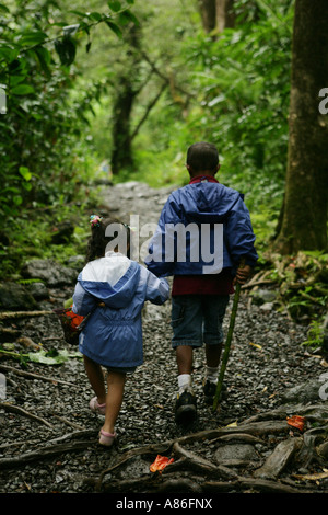 Two children walking in the woods Stock Photo