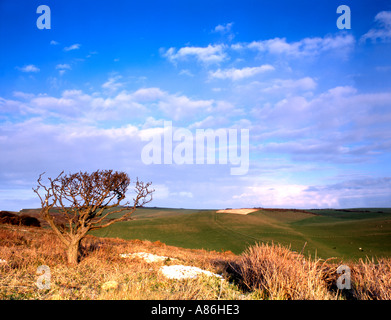 View from near Belle Tout lighthouse on the South Downs way Stock Photo