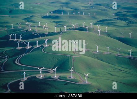 Aerial oblique view of modern three bladed energy generating windmills on the gently rolling green hills of Altamont Pass CA Stock Photo