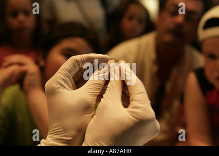Gloved hands, close-up Stock Photo