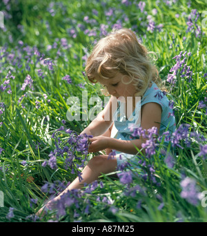Portrait of a little Girl sitting in a bluebell wood, West Yorkshire, England, United Kingdom Stock Photo