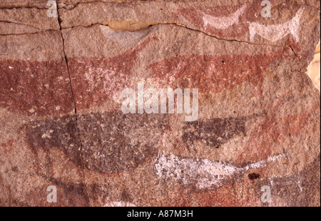 Cueava de las Manos holy place of the Tehulche indians Argentina South America Stock Photo