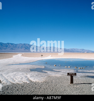 Badwater, the lowest point in the continental US at 282ft, Death Valley, California, USA Stock Photo