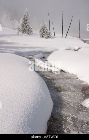 Snowdrifts along thermal runoff channel on winter morning at West Thumb Geyser Basin Yellowstone National Park WY USA