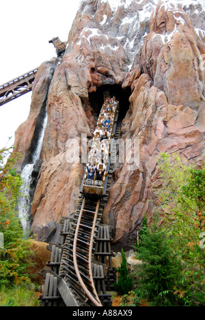 Expedition Everest Roller Coaster at The Animal Kingdom Park at