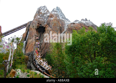 Expedition Everest Roller Coaster at The Animal Kingdom Park at