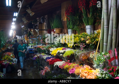 Mercat de la Concepcio 24-hour flower market in BARCELONA Spain Stock ...