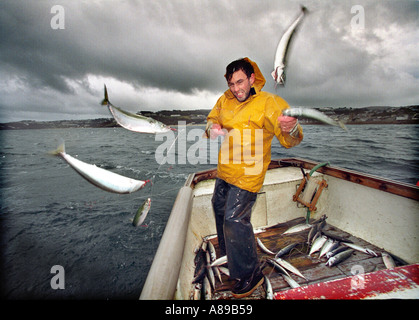 Mackerel fishing by hand line in Cornwall Stock Photo