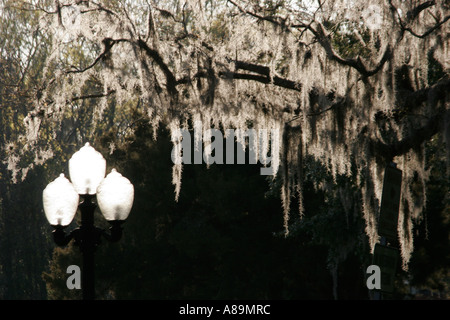 Florida Newberry,Little Red Schoolhouse,lamppost,Spanish moss,visitors travel traveling tour tourist tourism landmark landmarks culture cultural,vacat Stock Photo