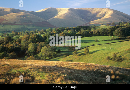 View towards the Howgill Fells, near Sedbergh, Cumbria, Yorkshire Dales National Park, England, UK Stock Photo