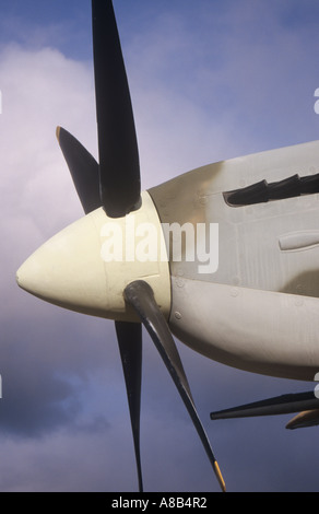 Spitfire of No 603 City of Edinburgh Squadron RAF shoots down a ...