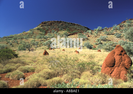 Australia Karijini National Park Mount Bruce and termite mounds Stock Photo