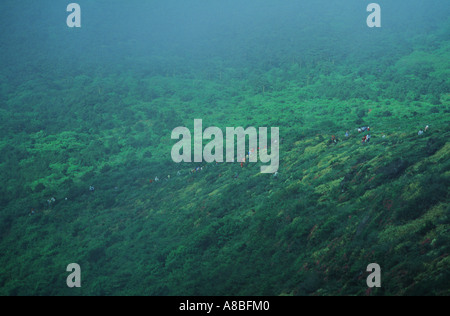 Jeju Island Mt Halla Mountain climbers Stock Photo