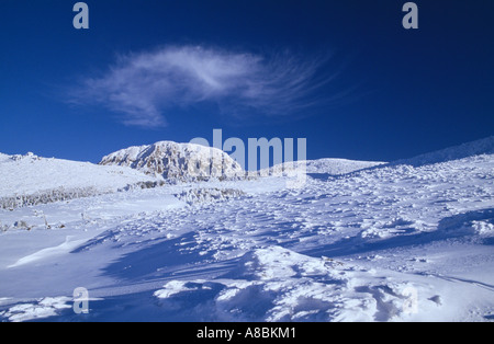 Jeju Island snow scene of Halla mountain winter Stock Photo