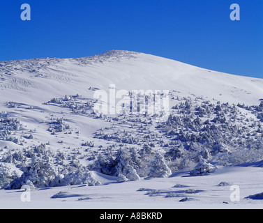 Jeju Island snow scene of Halla mountain winter Stock Photo