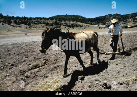 Mexico Tarahumara tribe Indians plant corn in May near Creel Copper Canyon Barranca del Cobre Sierra Madre Occidental Stock Photo