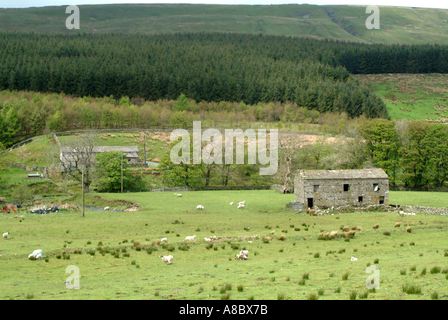 Moorland Farm Building in Yorkshire Dales National Park England United Kingdom UK Stock Photo