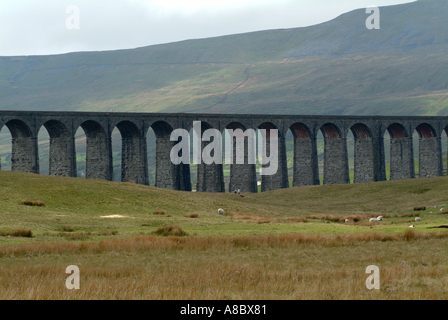 Ribblehead Viaduct in Yorkshire Dales National Park England United Kingdom UK Stock Photo