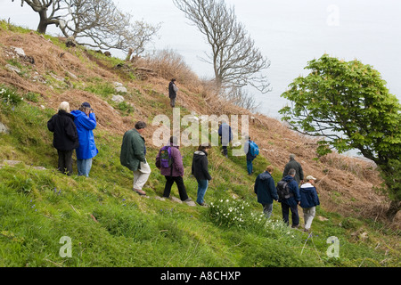 UK Lundy Island warden leading guided nature walk on east coast path Stock Photo