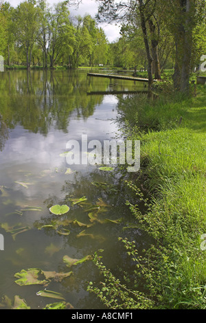 The River Indre near Antannes Stock Photo