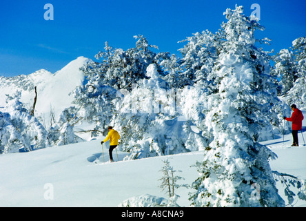 Skiers prepare for an exciting downhill through new powder snow in the Pioneer Mountains near Sun Valley in Idaho Stock Photo