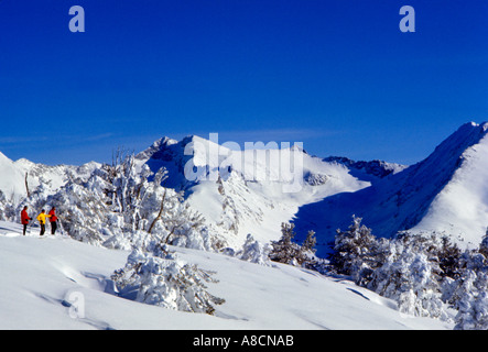 Skiers prepare for an exciting downhill through new powder snow in the Pioneer Mountains near Sun Valley in Idaho Stock Photo