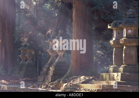 Rays of early morning sunshine striking stone lanterns on the pathway to Nara's Kasuga Taisha shrine Stock Photo