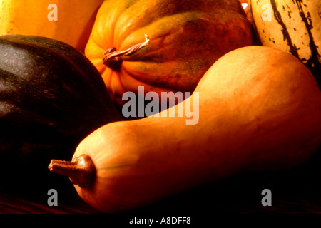 assortment of yellow squash Stock Photo