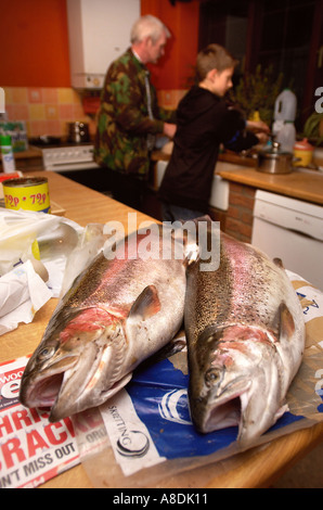 A BRACE OF TROUT ON A KITCHEN TABLE UK 2005 Stock Photo