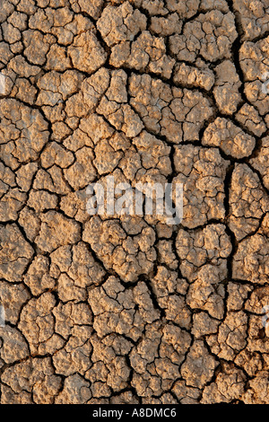Cracked and dried mud Stock Photo