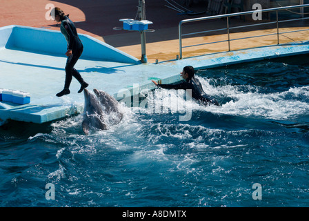 Barcelona Zoo Aquarama Dolphin Show Stock Photo - Alamy