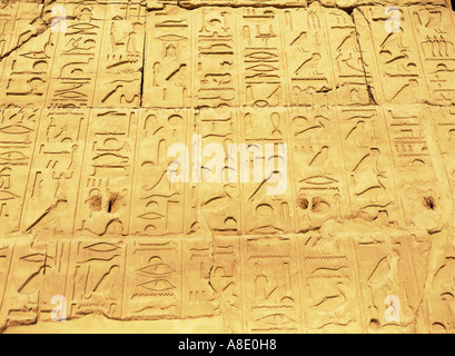 Hieroglyphs temple of Amon Karnac Luxor Egypt Stock Photo