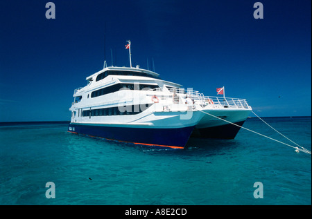 The Aquacat luxury live aboard 31 metre catamaran operates diving holidays through Blackbeards Cruises in the Exumas Bahamas Stock Photo