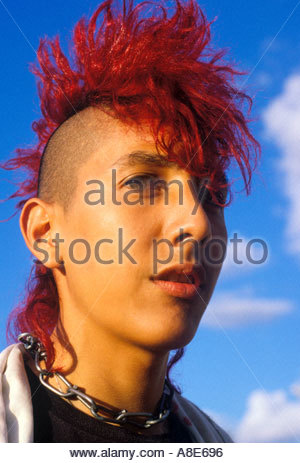 Punk boy with black red Mohawk Stock Photo: 21940382 - Alamy