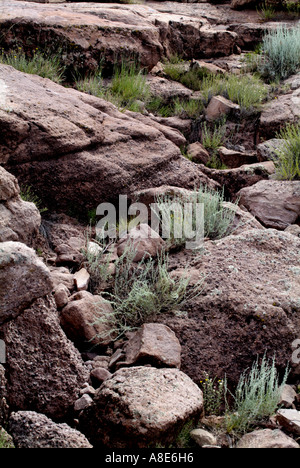 Rocks and Grasses in Canyon de Chelly National Monument Arizona USA Stock Photo