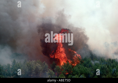 Aerial view of a wildfire, flames, forest fire black smoke, Bouches-du-Rhône, Provence, France, Europe, Stock Photo